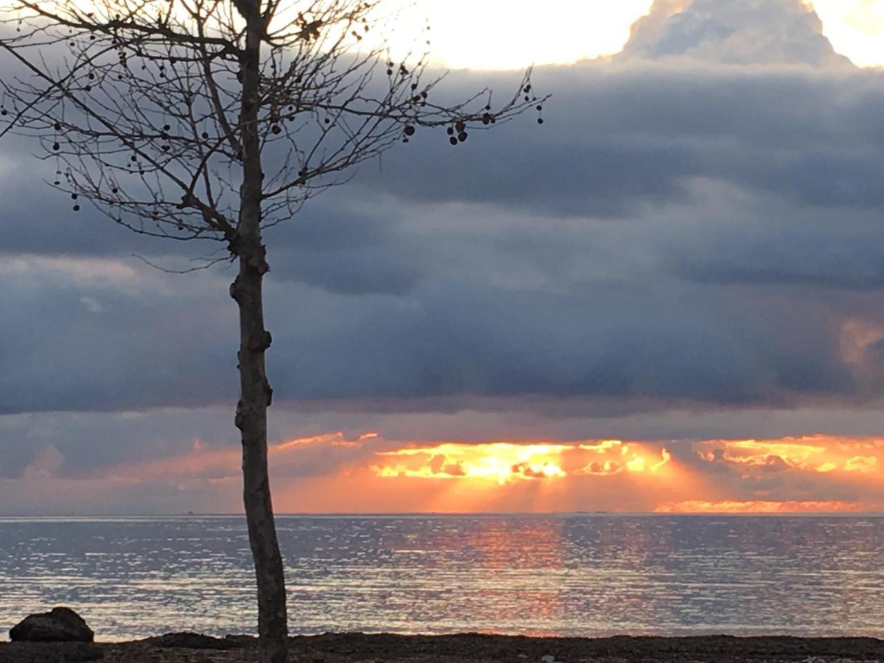 Il Mare Di Alida * Alghero