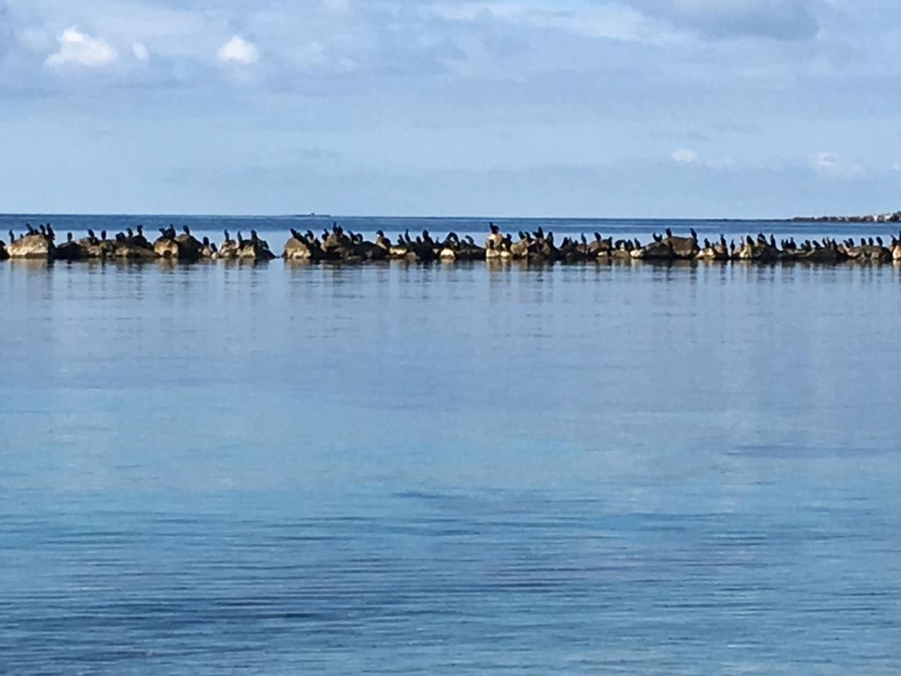 Appartamento Il Mare Di Alida Alghero